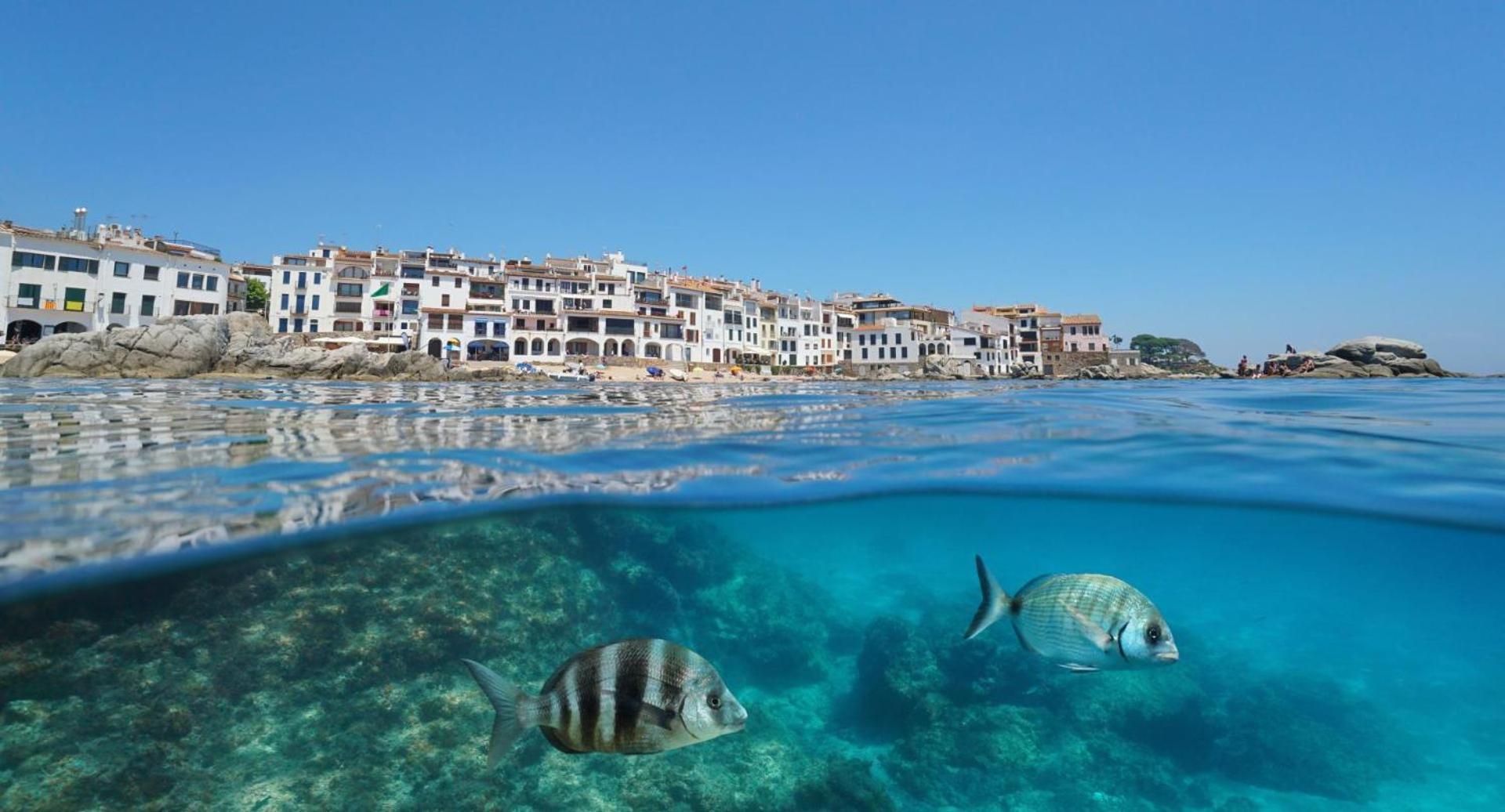Apartamento Recien Reformado A 300 Metros Del Mar Calella De Palafrugell Eksteriør billede