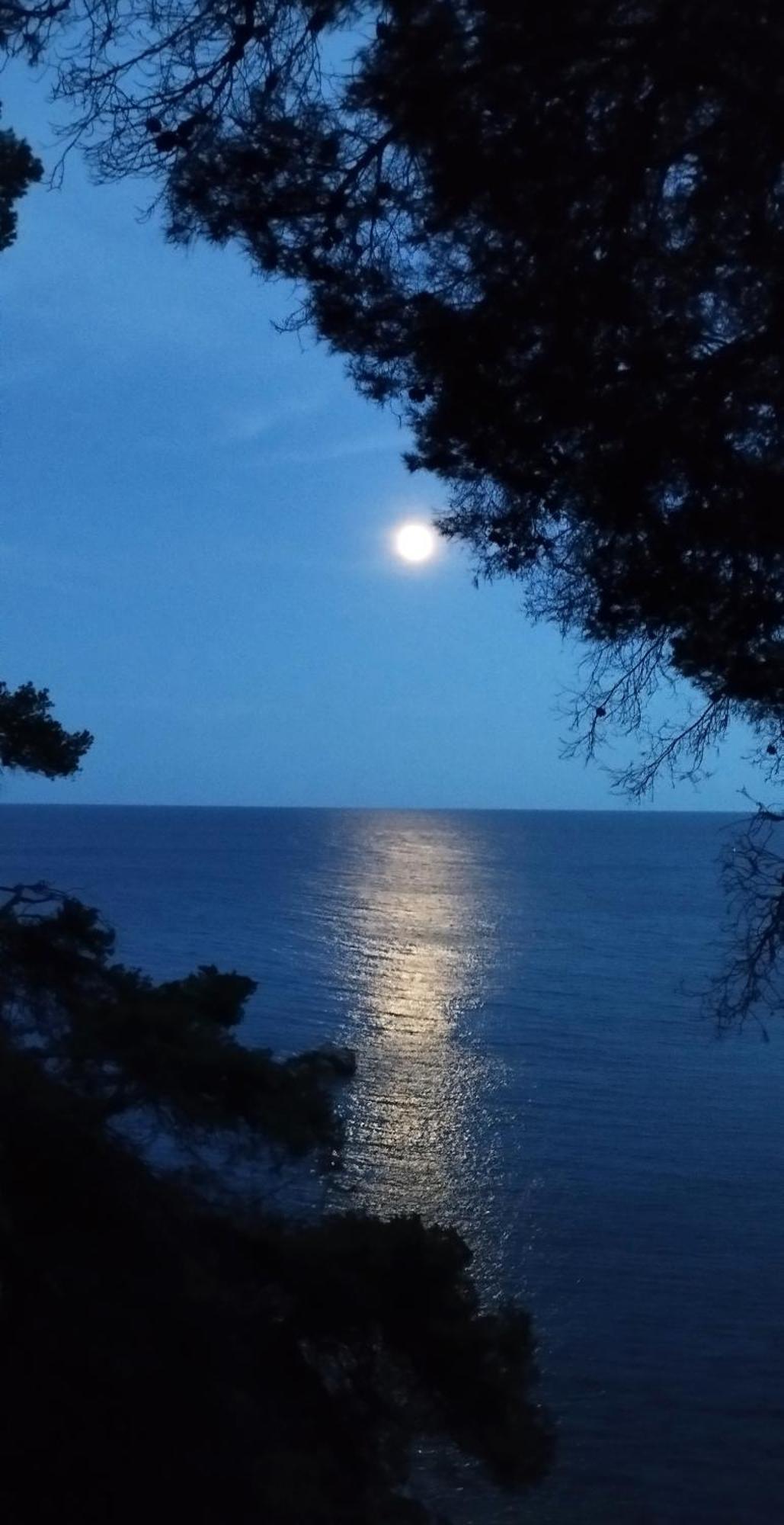Apartamento Recien Reformado A 300 Metros Del Mar Calella De Palafrugell Eksteriør billede