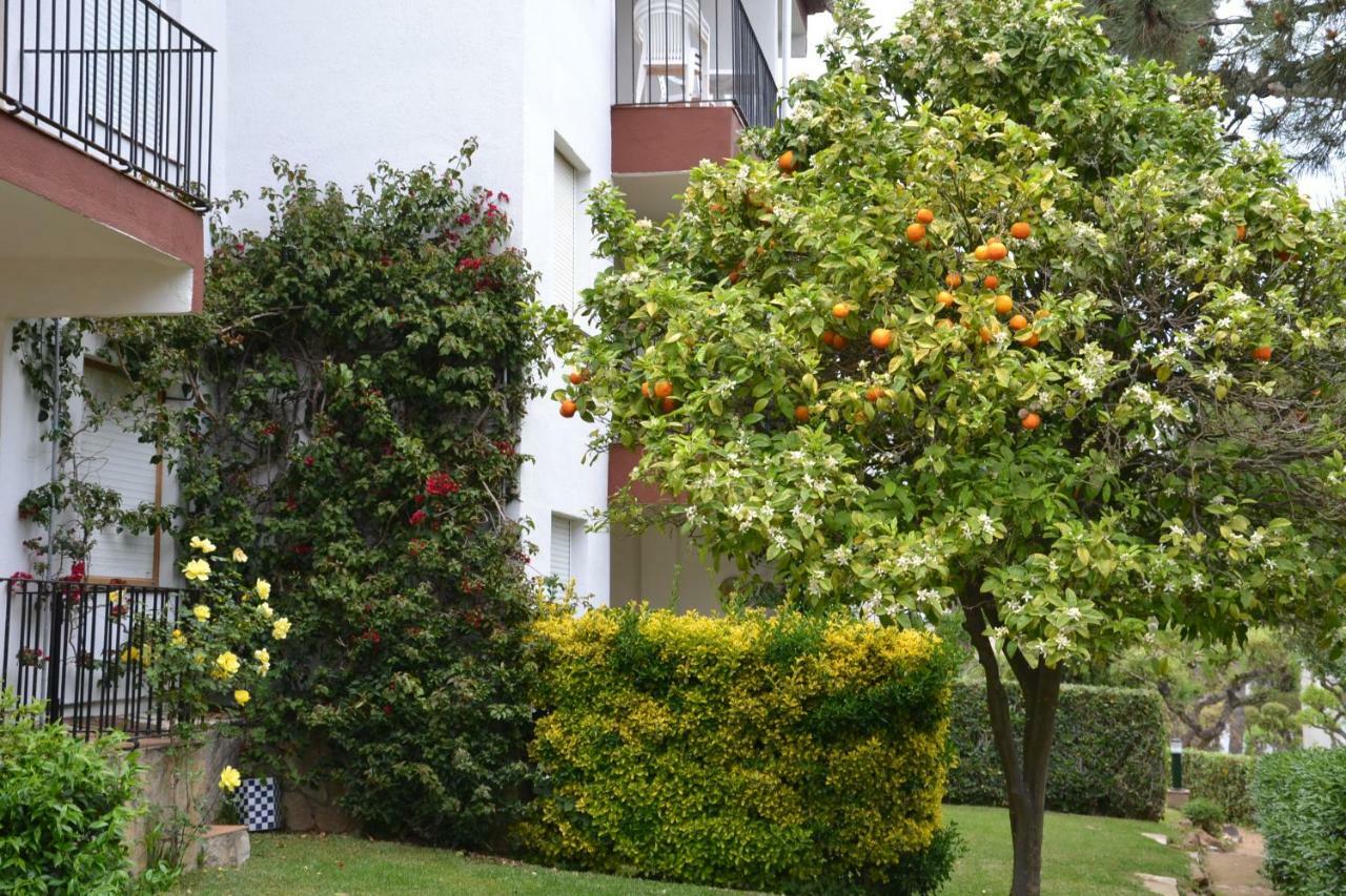 Apartamento Recien Reformado A 300 Metros Del Mar Calella De Palafrugell Eksteriør billede