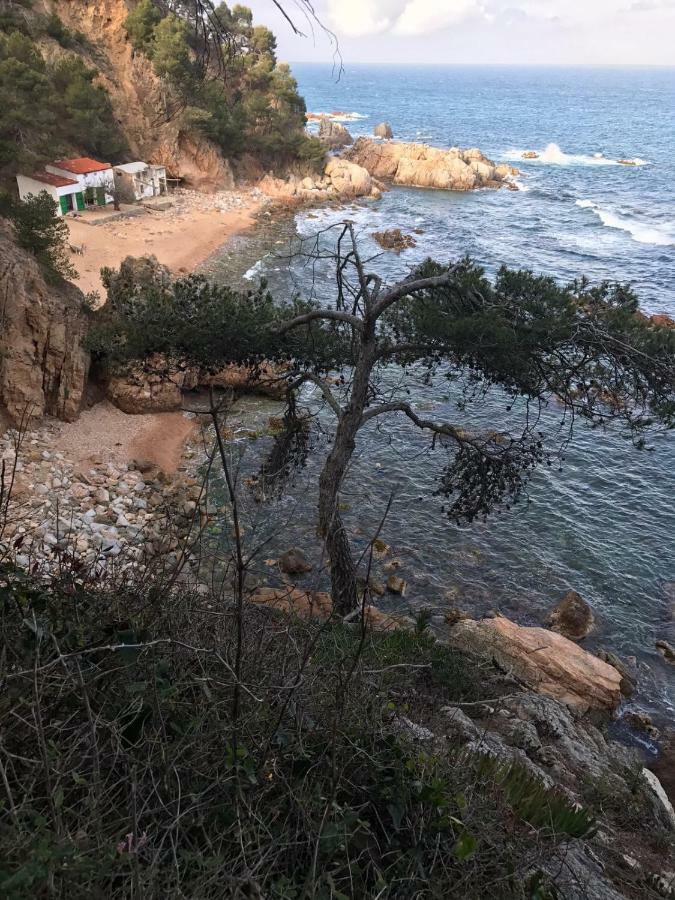 Apartamento Recien Reformado A 300 Metros Del Mar Calella De Palafrugell Eksteriør billede
