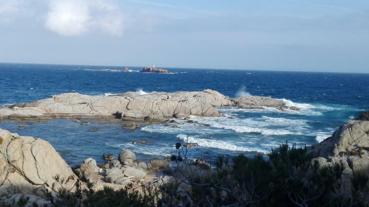 Apartamento Recien Reformado A 300 Metros Del Mar Calella De Palafrugell Eksteriør billede